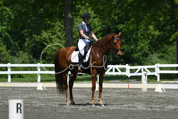 HSM_2078