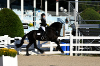 HSM_4281