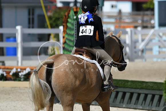 HSM_3786