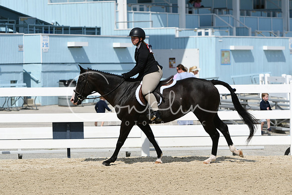 HSM_6454