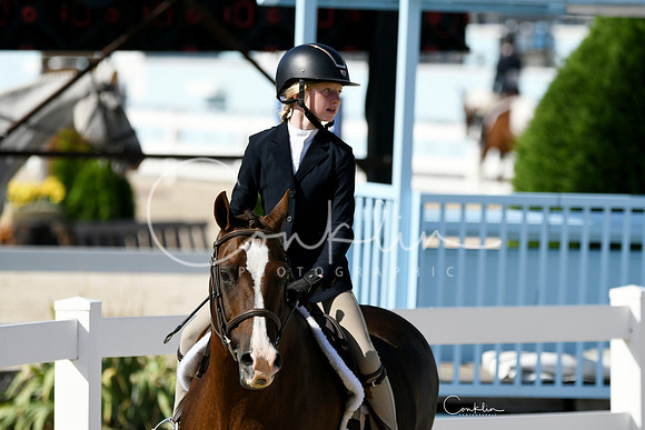 HSM_3913-1