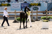 RJC32006