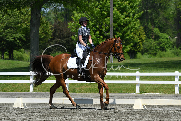 HSM_2073