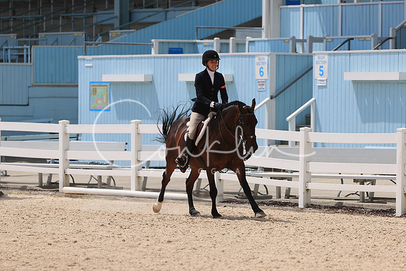 RJC30991