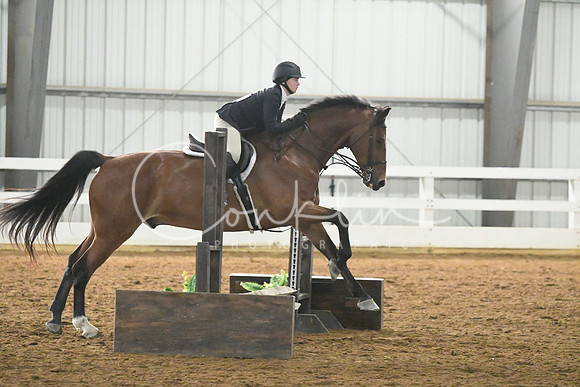 HSM_7293