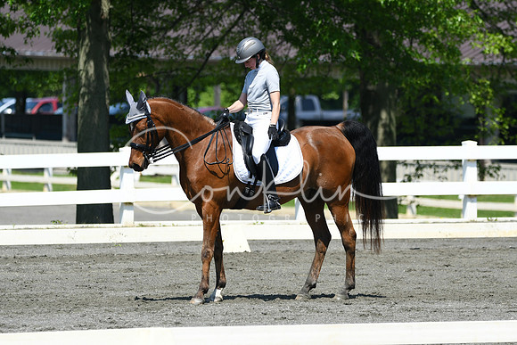 HSM_1298