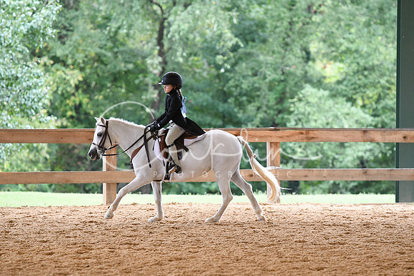 HSM_6351