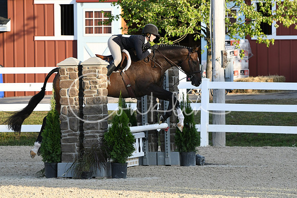 HSM_0203