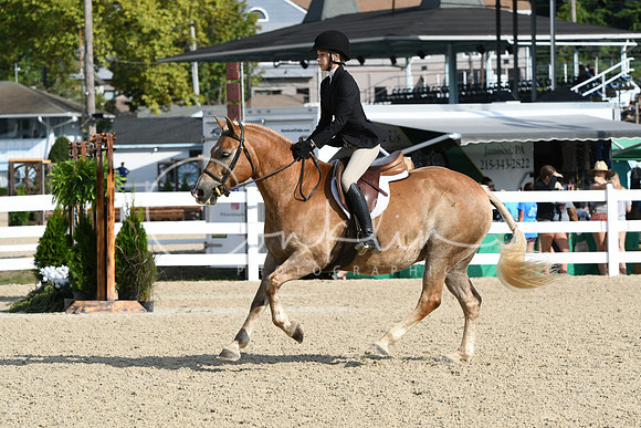 HSM_5797
