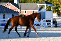 HSM_5634