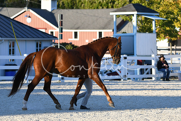 HSM_5634