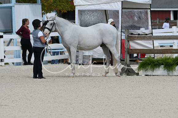 HSM_4853