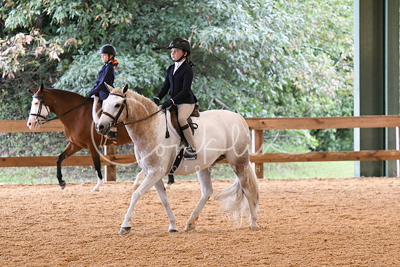 HSM_5342