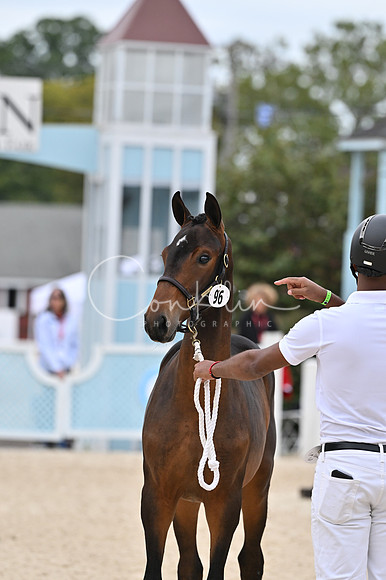 MAK_4740