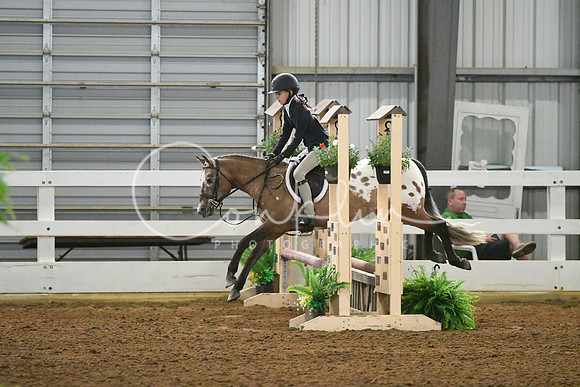 HSM_4933