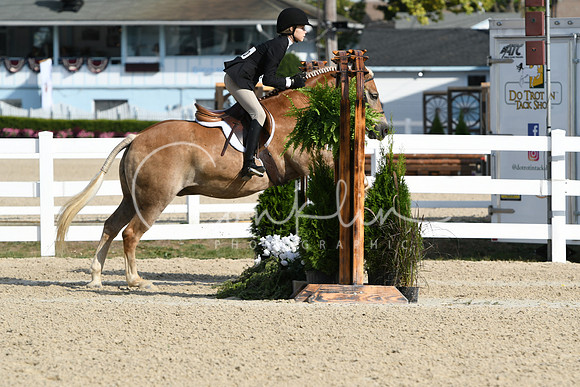 HSM_5798