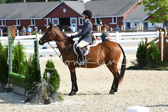 HSM_5953