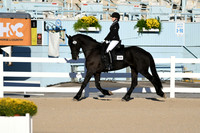 HSM_4231