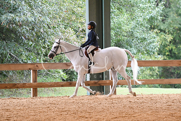HSM_5351