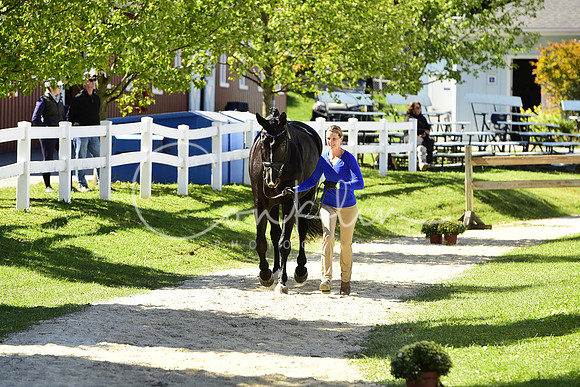 _MDS4153