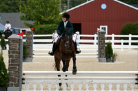 HSM_3019