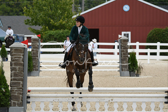 HSM_3019