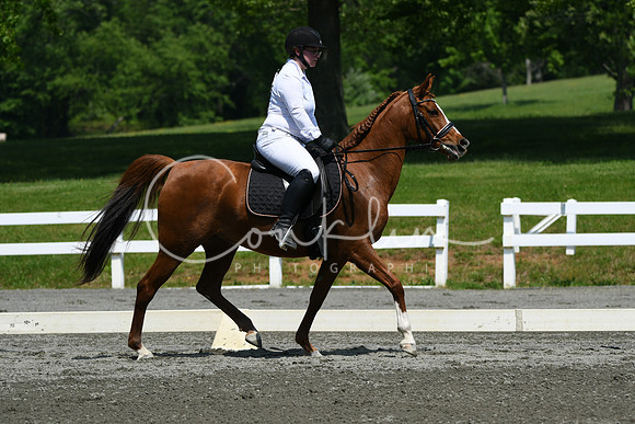 HSM_2198