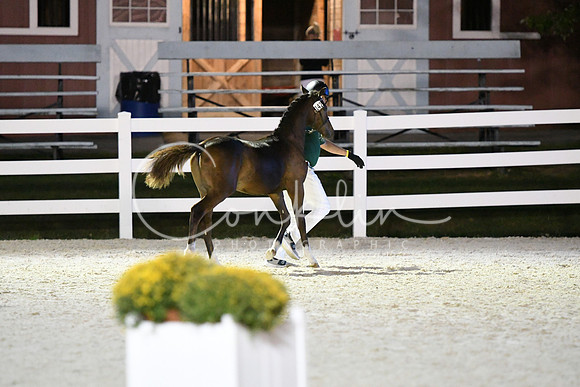 HSM_5859