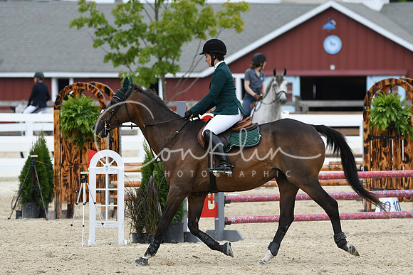 HSM_3016