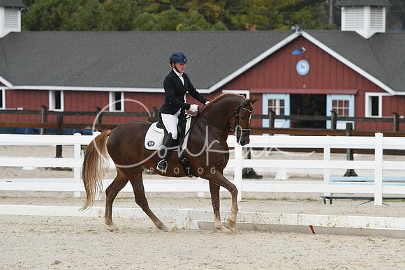 HSM_0563