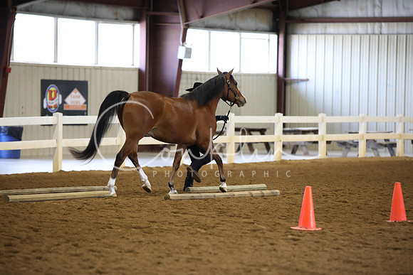 BW181781