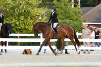 HSM_0339