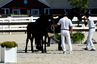 HSM_4707