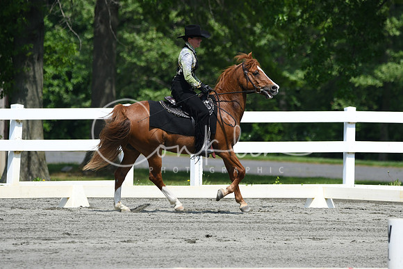 HSM_2813