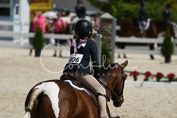 HSM_2951