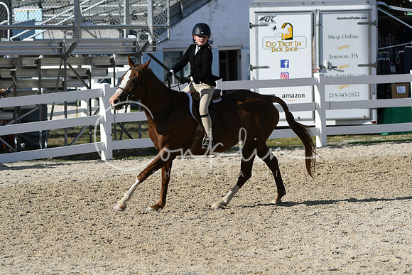 HSM_4221