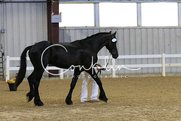 IMG_8557