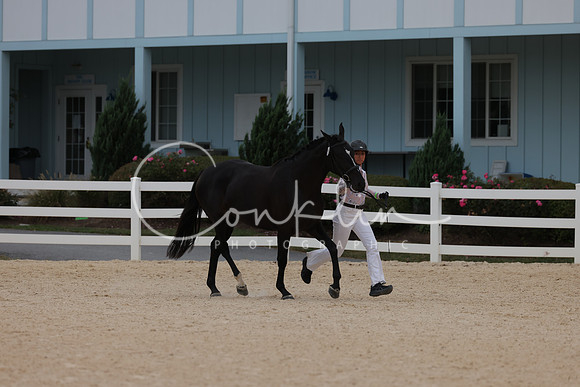 HLK_2319