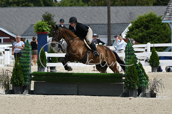 HSM_6872