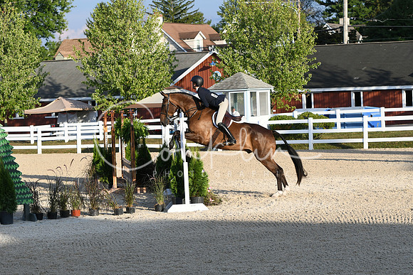 HSM_0185
