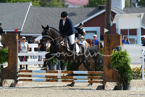 HSM_1893