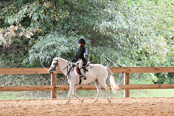 HSM_6337