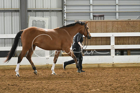 HSM_3729