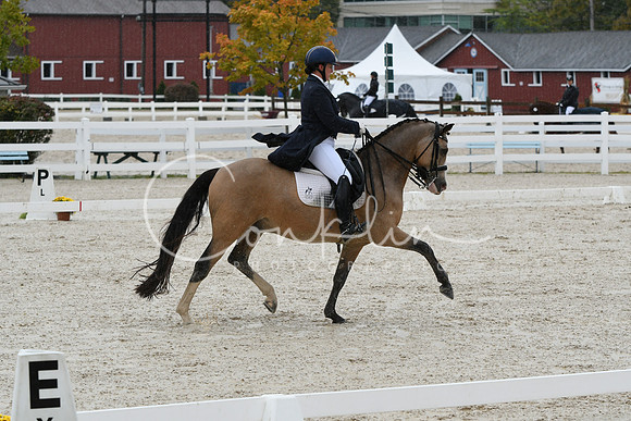 HSM_0276