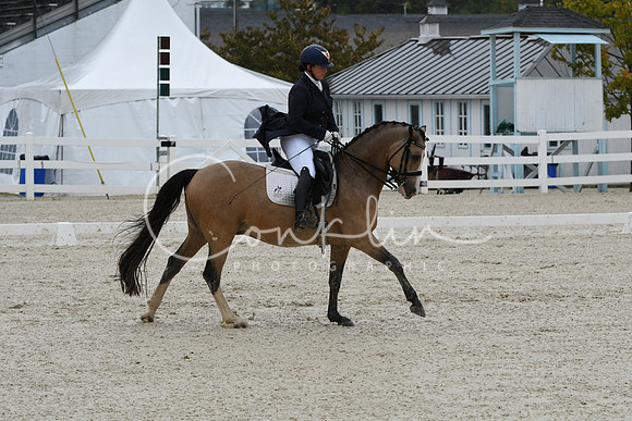 HSM_0267