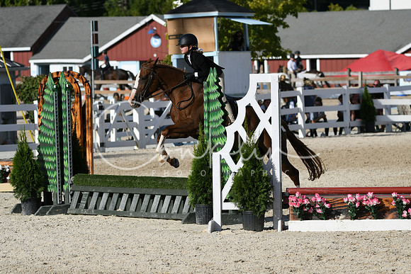 HSM_4218