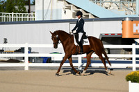 HSM_4229