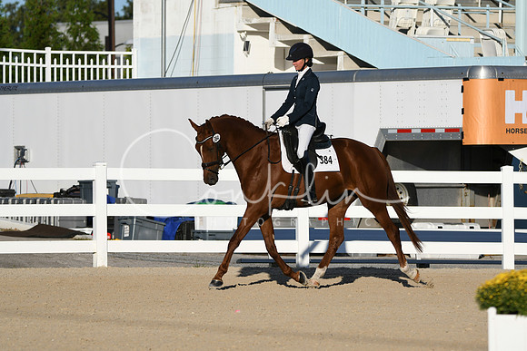 HSM_4229