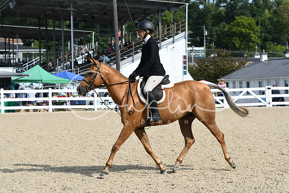 HSM_6036