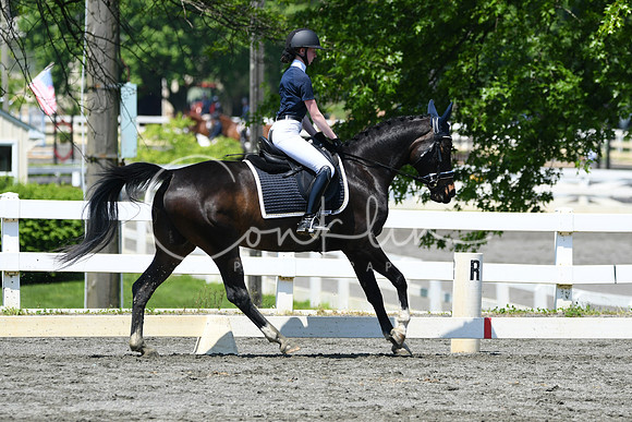 HSM_1462